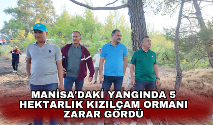 Manisa'daki yangında 5 hektarlık kızılçam ormanı zarar gördü