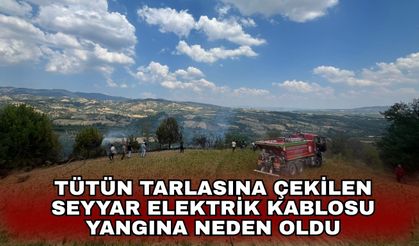 Tütün tarlasına çekilen seyyar elektrik kablosu yangına neden oldu