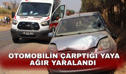 Otomobilin çarptığı yaya ağır yaralandı