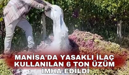 Manisa'da yasaklı ilaç kullanılan 6 ton üzüm imha edildi