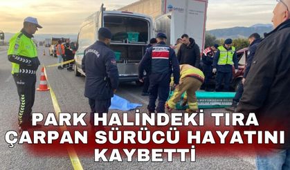 Park halindeki tıra çarpan sürücü hayatını kaybetti