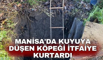 Manisa'da kuyuya düşen köpeği itfaiye kurtardı