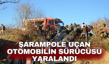 Şarampole uçan otomobilin sürücüsü yaralandı