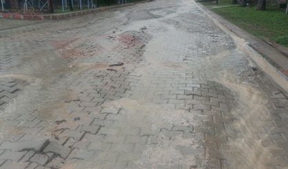 Yağmurla Spil'den gelen molozlar evleri mahvetti