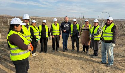 Sarıgöllü ziraat mühendisi Azerbaycan'da bağ budama tekniklerini öğretti