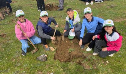 Sarıgöl’de 400 fıstık çamı toprakla buluştu