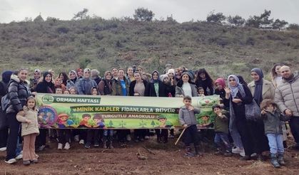 Turgutlulu minikler 250 fidanı toprakla buluşturdu