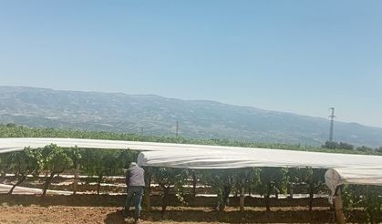 Sarıgöl Ovası beyaza bürünmeye başladı
