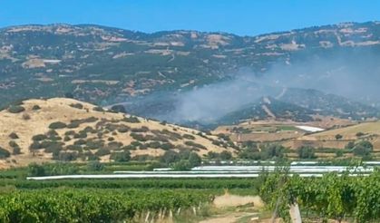 Manisa'da korkutan orman yangını