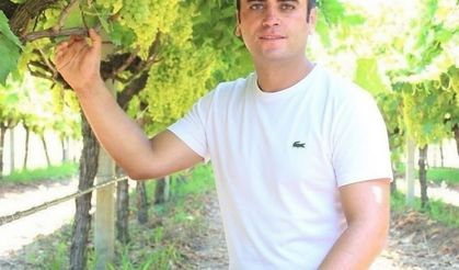 Manisa’da üzüm için "Altın Model"