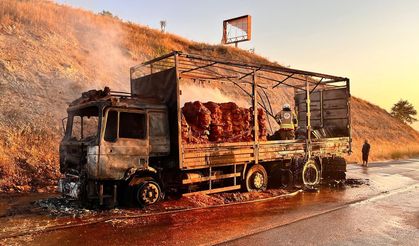 Seyir halindeki tır alevlere teslim oldu