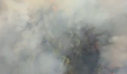 Manisa'da otoyol kenarında orman yangını