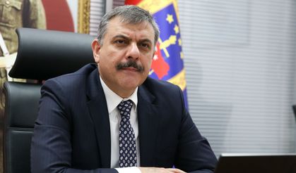 İçişleri Bakanı Mustafa Çiftçi: "Sokak köpeklerinin yüzde 99,22’si toplandı"