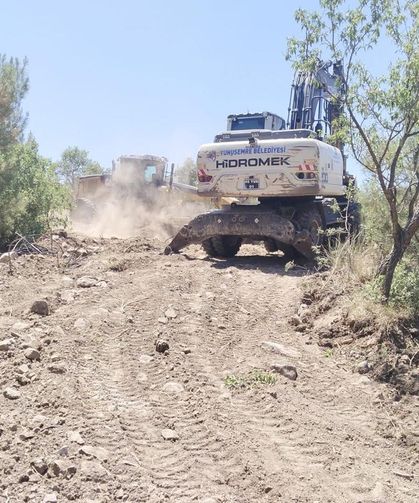 Yunusemre'de özel ağaçlandırma alanlarına bakım