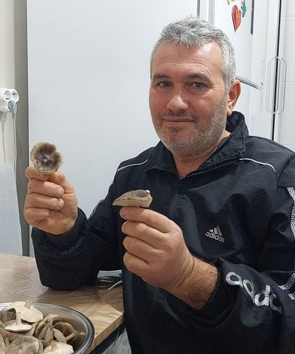 Sarıgöl'de ağaçlar çiçek açtı, dağlar mantar doldu