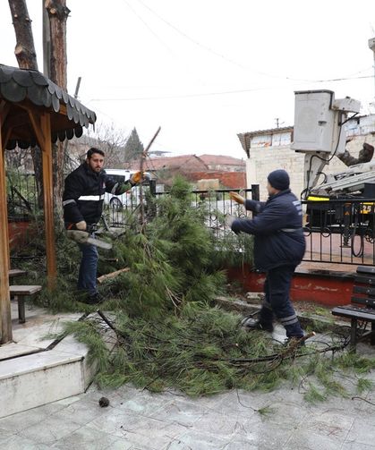 Şehzadeler Belediyesi’nin budadığı dallar ihtiyaç sahiplerinin ocağını ısıtıyor