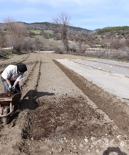 Selendi'de tütün üreticisinin zorlu mesaisi başladı