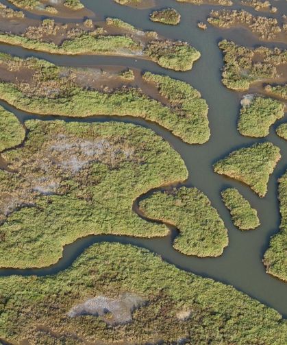 Gediz Nehri mercek altında