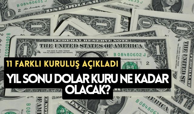 11 farklı kuruluş açıkladı: Yıl sonu dolar kuru ne kadar olacak?