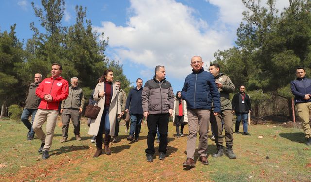 Turgutlu'dan sokak hayvanları için örnek proje