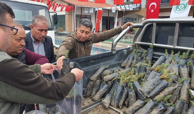 Demirci'de vatandaşlara 3 bin fidan dağıtıldı