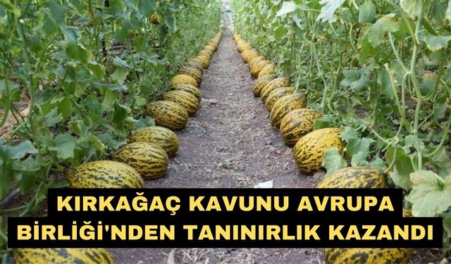 Kırkağaç Kavunu Avrupa Birliği'nden tanınırlık kazandı