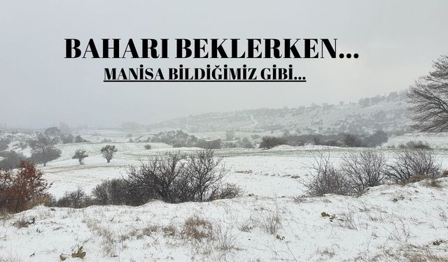 Baharı beklerken kar yağışı etkili oldu
