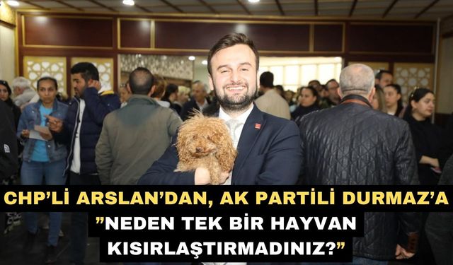 CHP’li Arslan’dan, AK Partili Durmaz’a ”Neden tek bir hayvan kısırlaştırmadınız?”