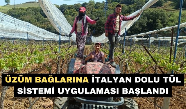 Üzüm bağlarına İtalyan dolu tül sistemi uygulaması başlandı