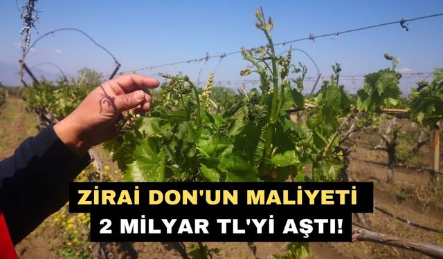 Zirai don'un maliyeti 2 milyar TL'yi aştı!