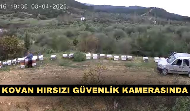 Kovan hırsızı güvenlik kamerasında