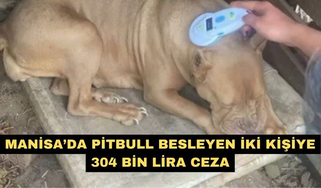 Manisa’da pitbull besleyen iki kişiye 304 bin lira ceza