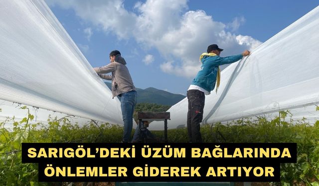 Sarıgöl’deki üzüm bağlarında önlemler giderek artıyor