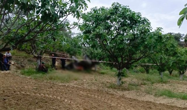 Devrilen traktörün altında kalan şahıs hayatını kaybetti