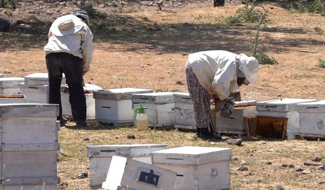 Yunusemre Belediyesinden arıcılığa tam destek