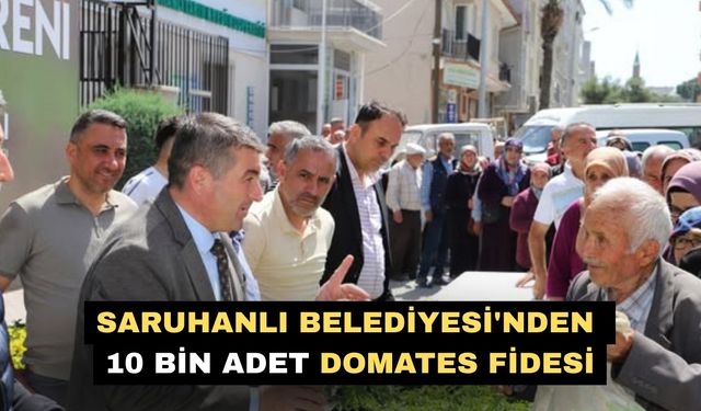 Saruhanlı Belediyesi'nden 10 bin adet domates fidesi