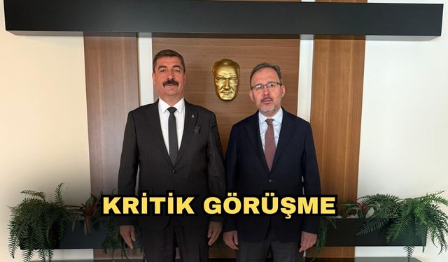Kritik görüşme