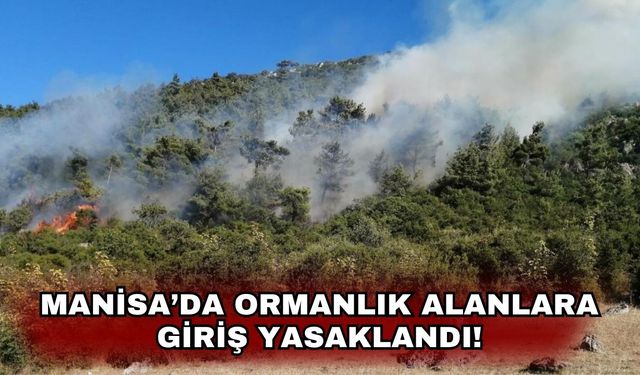 Manisa’da ormanlık alanlara giriş yasaklandı!