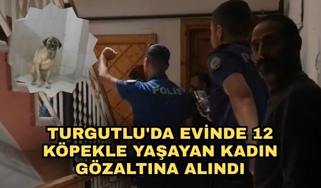 Turgutlu'da evinde 12 köpekle yaşayan kadın gözaltına alındı