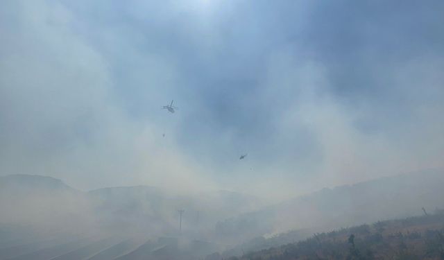Manisa'da ormanlık alanda yangın: Havadan ve karadan müdahale başladı