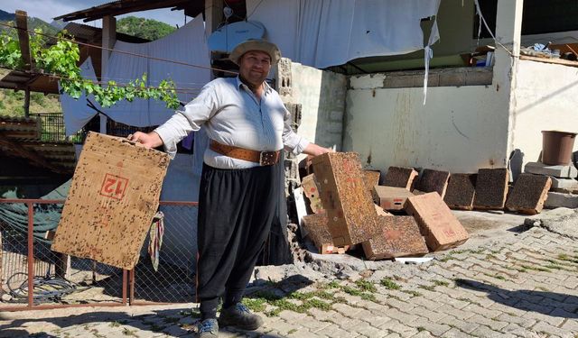 Bu da Adana usulü "sinekle mücadele"