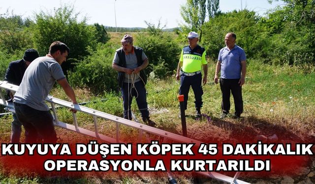 Kuyuya düşen köpek 45 dakikalık operasyonla kurtarıldı