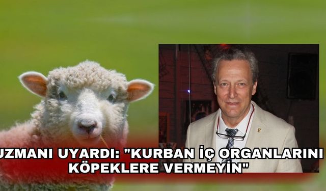Uzmanı uyardı: "Kurban iç organlarını köpeklere vermeyin"