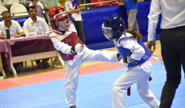Yunusemre'de İller Arası Minikler Tekvando Turnuvası başlıyor