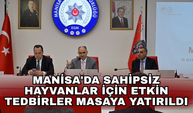 Manisa'da sahipsiz hayvanlar için etkin tedbirler masaya yatırıldı