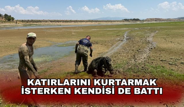 Katırlarını kurtarmak isterken kendisi de battı