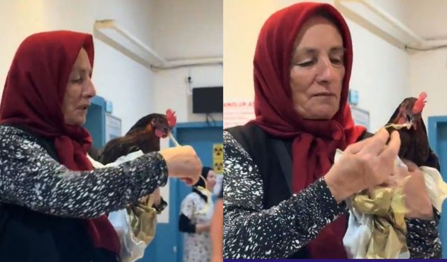 Hastanede 'tavuk' operasyonu