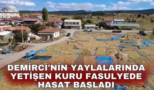 Demirci'nin yaylalarında yetişen kuru fasulyede hasat başladı