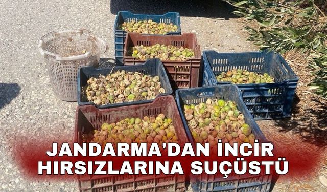Jandarma'dan incir hırsızlarına suçüstü