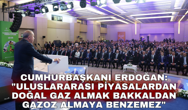 Cumhurbaşkanı Erdoğan: "Uluslararası piyasalardan doğal gaz almak bakkaldan gazoz almaya benzemez"